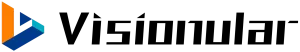 Visionular_Logo_Horizontal.webp