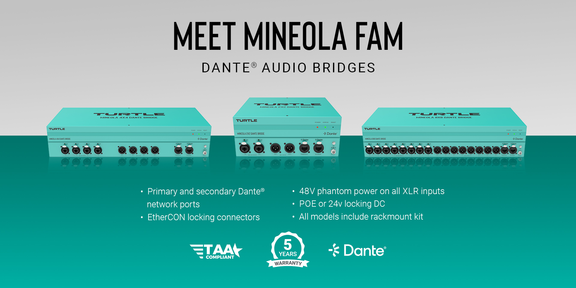 Turtle AV Mineola Dante Audio Bridges