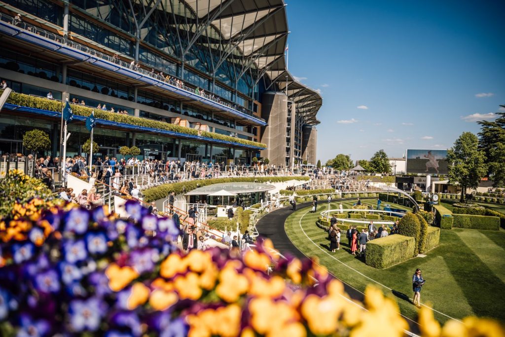 World’s First Live Ultra-High-Resolution Immersive Horse Racing Experience Debuts at Ascot