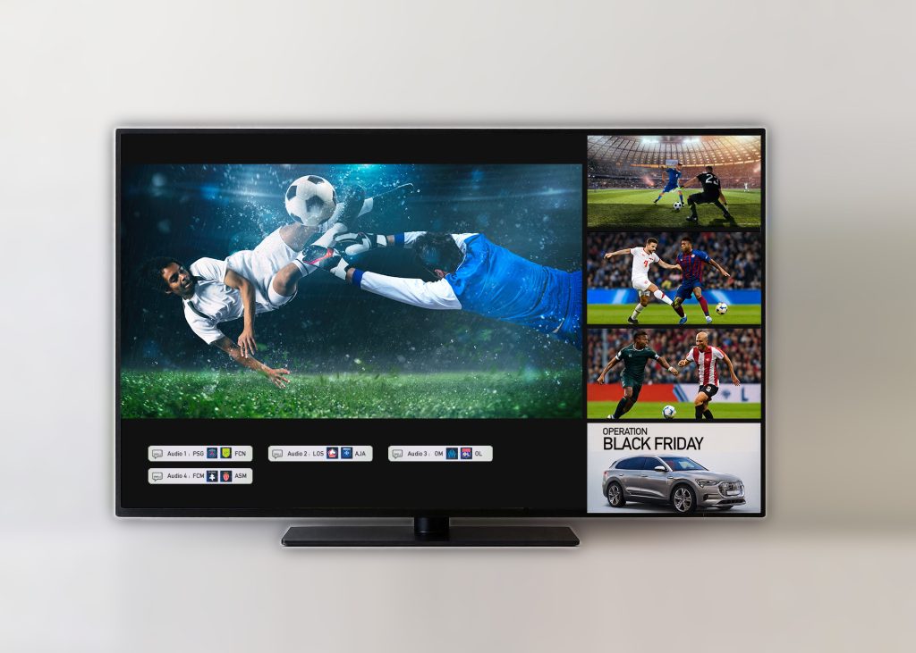 Multiview Experience for Sports Fans