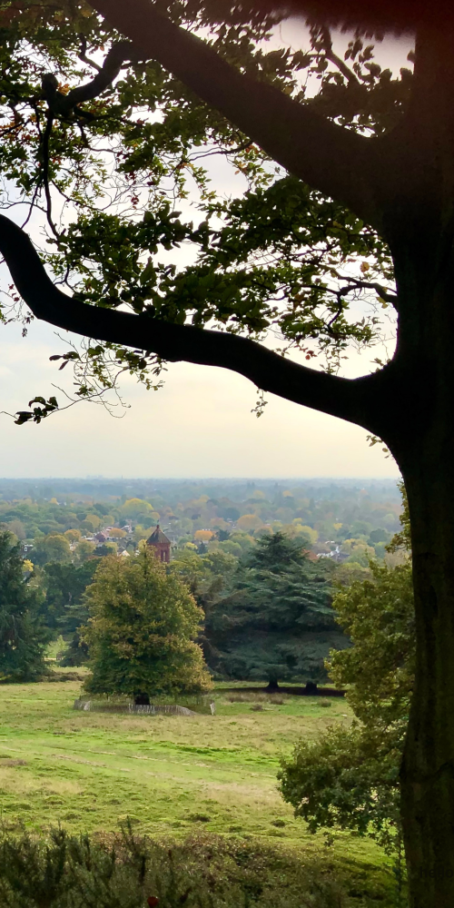 IAMT Annual Conference & Awards 2026 – The Complete Richmond Experience